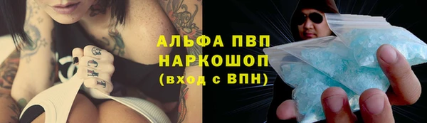Альфа ПВП Зеленокумск