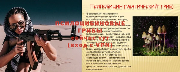 соль ск Костерёво