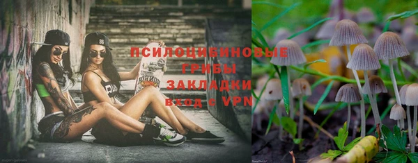 Альфа ПВП Зеленокумск