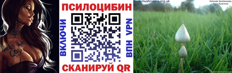 Псилоцибиновые грибы GOLDEN TEACHER  ссылка на мегу как зайти  Лебедянь  купить  